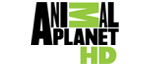 Animal Planet HD Logo