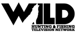 Wild TV Logo