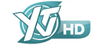 YTV HD Logo